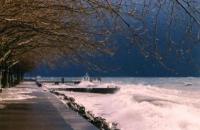 Bord du lac léman, tempête Lothar
