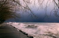 Bord du lac Léman, tempête Lothar